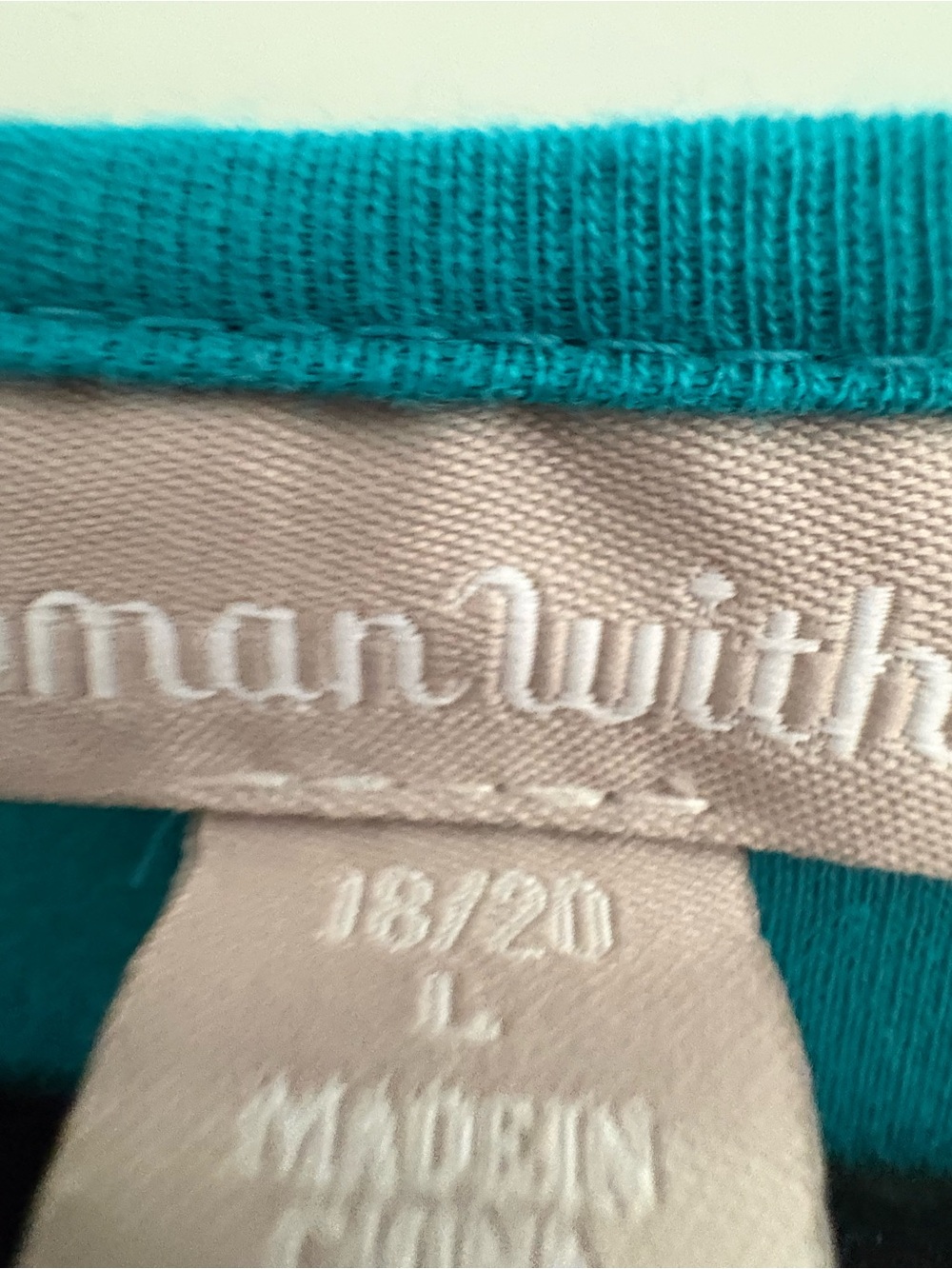 Woman Within Teal Embroidered Maxi Dress - Picture 4 of 4